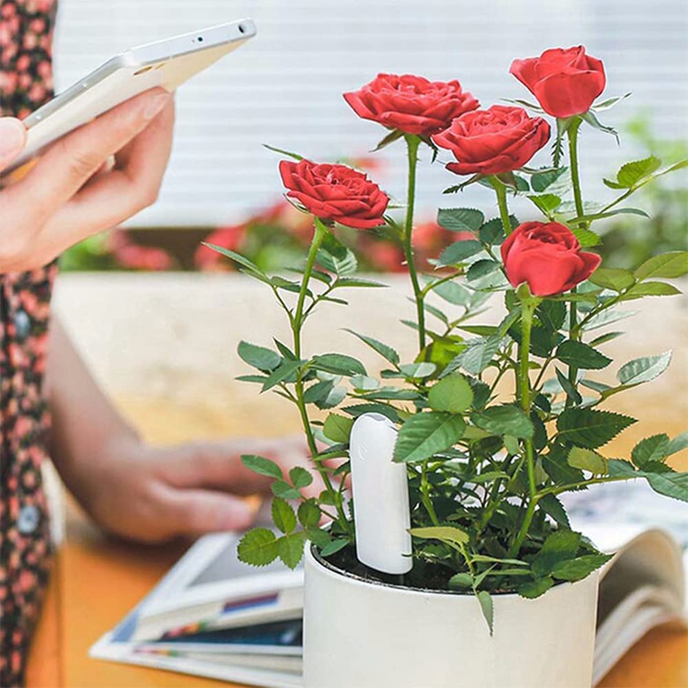 Soil Moisture Meter 4 in 1,Plant Water Monitor,Automatically detect Moisture/Temperature/Light/Fertility,Can Connect to Mobile Phone via Bluetooth,Hygrometer Sensor for Indoor Plants (2pc)