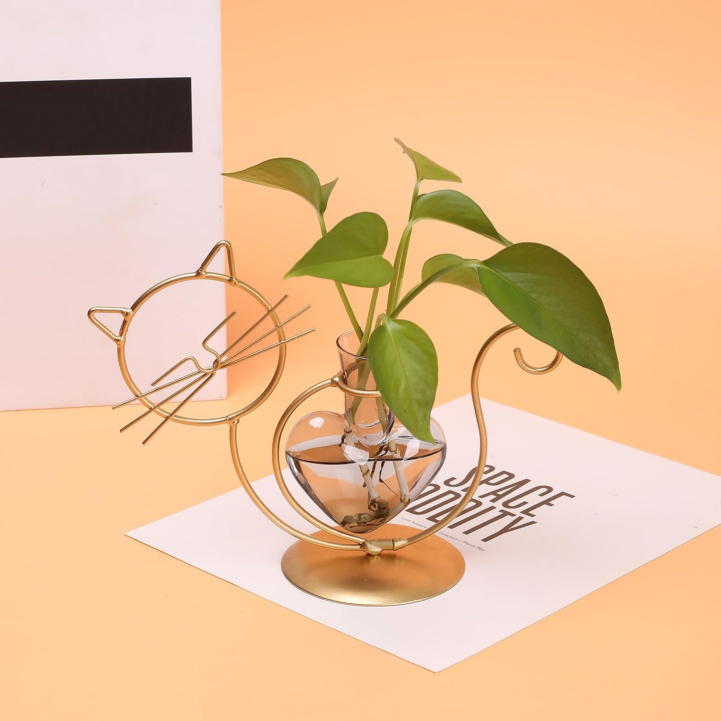 Plant Terrarium Plants Propagation Station Cat Lover Gifts for Women Home Office Decor Cat Desk Accessories
