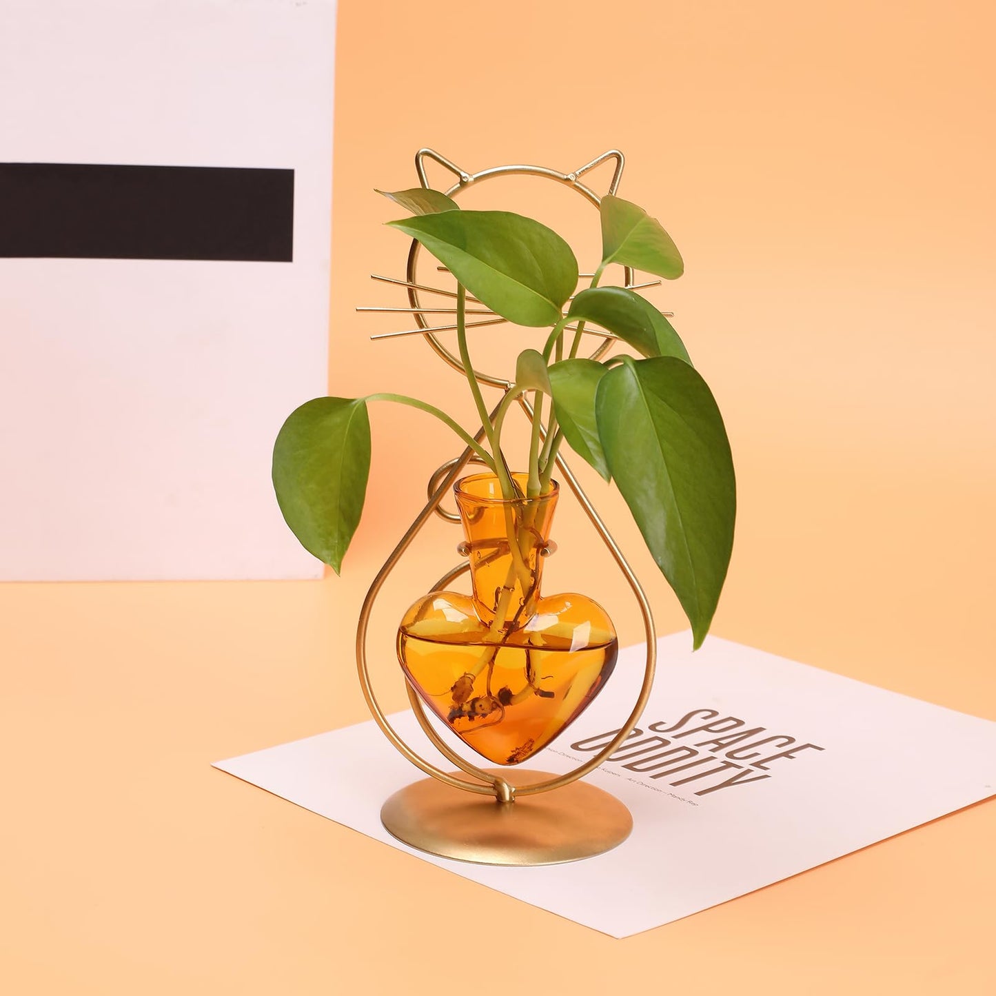 Plant Terrarium Plants Propagation Station Cat Lover Gifts for Women Home Office Decor Cat Desk Accessories