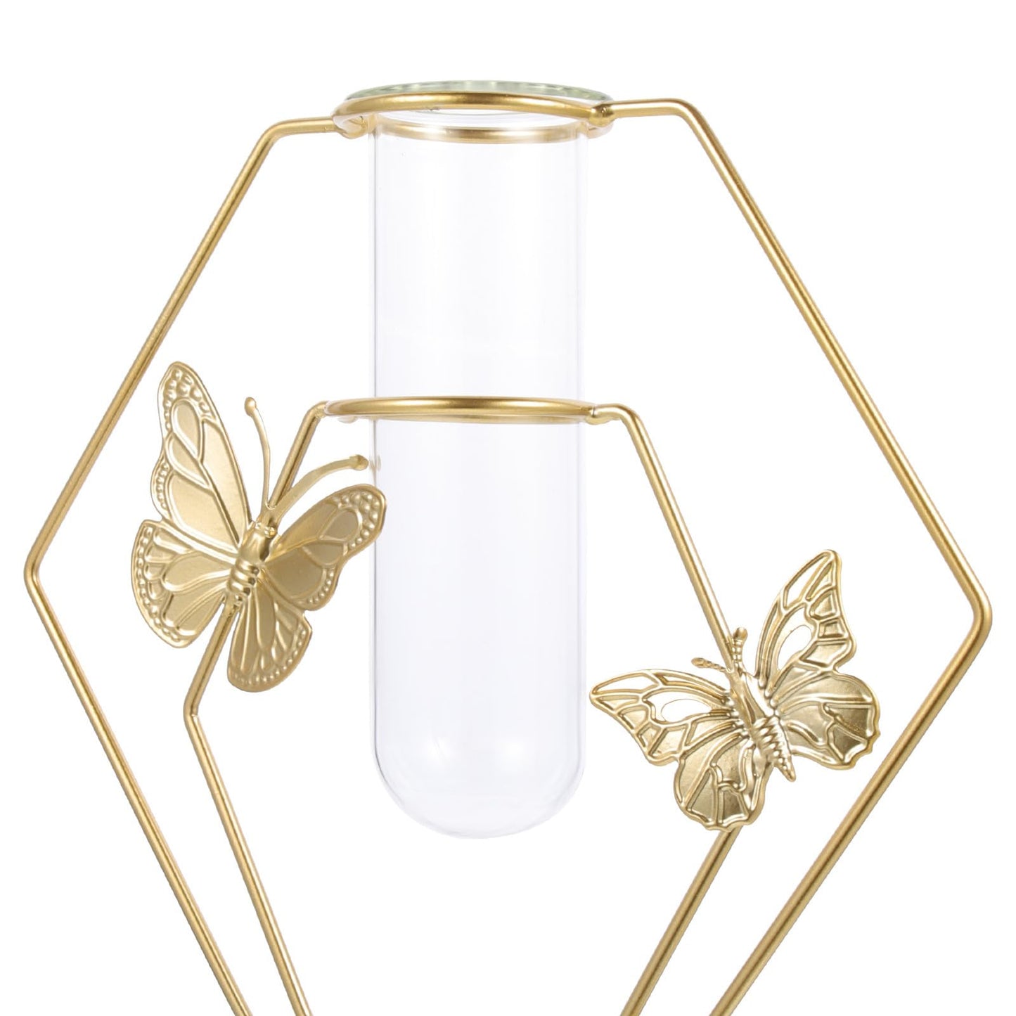 DECORNIJIA Metal Framed Glass Vase with Butterfly Pattern, Hexagonal Hydroponic Flower Pot for Desktop Decoration, Home Terrarium Plant Holder for Living Room Table
