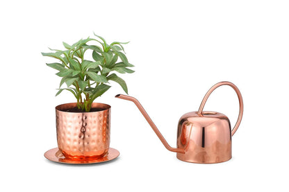 Glytterati - Indoor Watering Can and Planter with Plate.
