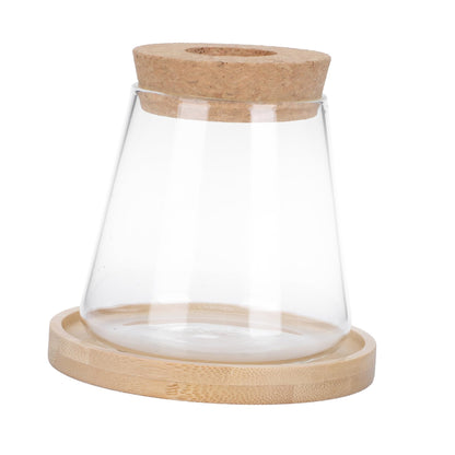 ETHZZLE Hydroponic Glass Vase with Wooden Stand Transparent Plant Propagation Station for Office Multifunctional Simple Flower Pot Desktop Greenery Terrarium Home Decoration and