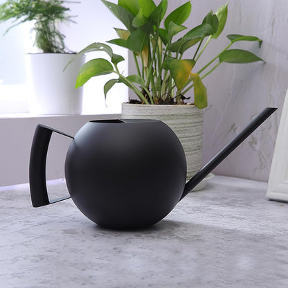 Chemlliy Watering Can with Long Spout and Comfortable Handle, 35 oz/1000ml Small Watering Can for Indoor Plants, Stainless Steel Garden Watering Pot for Indoor House Plants Bonsai Flower Decorative