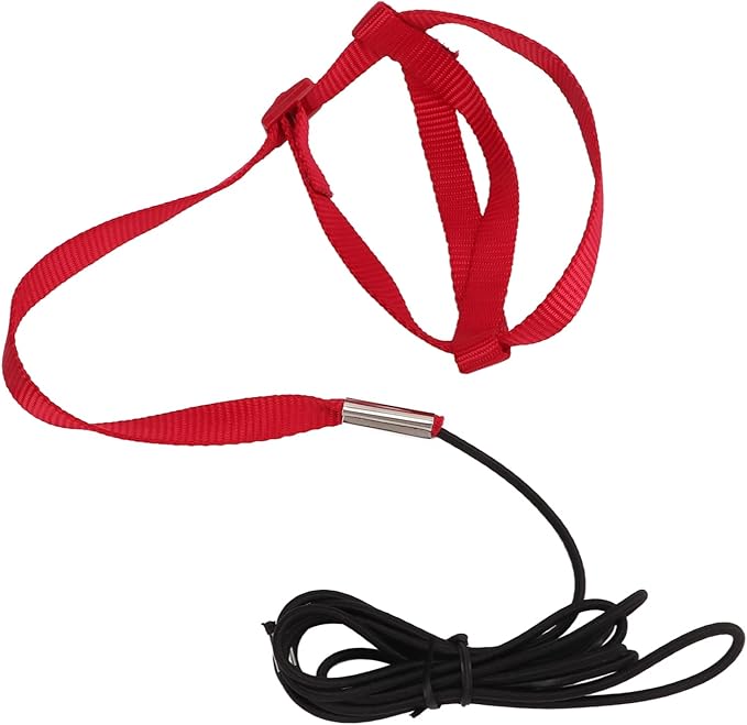 Elastic Parrot Harness Leash Bird Leash Bite Proof Harness Adjustable Parrot Flying Training Rope with Metal Hook Nylon Webbing for Cockatiels Walking (L)