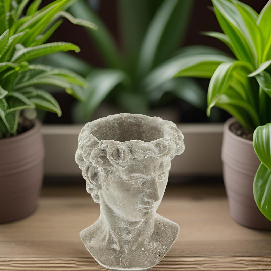 Lucky Winner Greek Statue Head Cement Planter - Unique Sculpture Plant Pot for Indoor Outdoor Home Garden Decor (6")