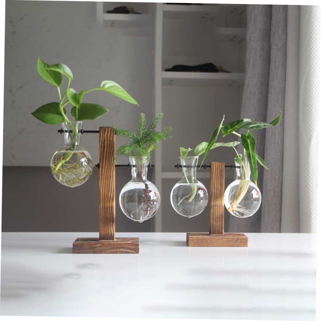 BESPORTBLE 1set Hydroponic Plant Vase Desktop Terrarium for Home Office Decoration Easy to Install Premium Glass for Floral Arrangement