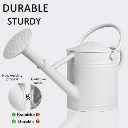 Annie Garden 1 Gallon Metal Watering Can for Indoor Plants Outdoor Plants, Large Water Can, Garden Water Can for Kids, Detachable, Water Can with Handle, White