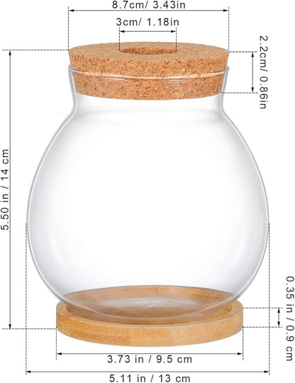 Glass Hydroponic Plant Vase with Cork Lid and Bamboo Base Small Clear Fish Bowl Desktop Terrarium Kit for Water Plants Lucky Bamboo Betta Fish Starter Pot for Home Office Decor 5x5.5 Inch