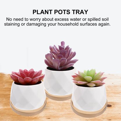 2PCS Ceramic Plant Saucer 5 Inch Round Succulent Pot Trays Elegant Golden Planter Drip Trays Flower Pot Saucers for Indoor Plant Office Home Decor