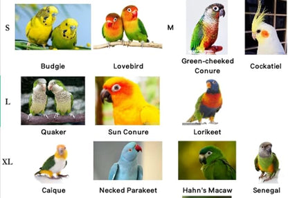Bird Harness Leash Adjustable Outdoor Training Flying Harness Traction Rope with Cute Wing for Parrots Pigeons Budgerigar Lovebird Cockatiel Mynah (M,Purple)