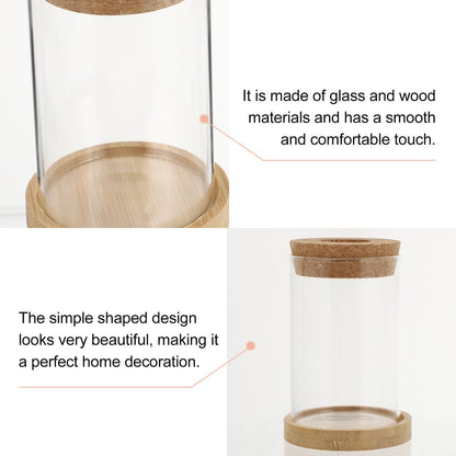 jojofuny 2pcs Glass Planter Vases for Hydroponics Plants 6.5x10in Desktop Terrarium with Stand Set for Home Office Gardening