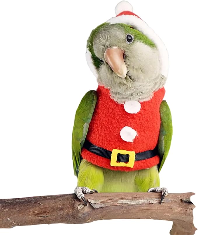 Bird Clothes Birds Flight Suit, Christmas Hoodie for Parrots Cockatiel Sun Conure Christmas Party Cosplay Photo Prop Bird Shirt Small Animals Apparel (Without Diaper,Blue Quaker)