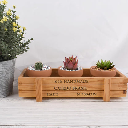 Luckforest Mini Clay Pots, 24 Pcs 2" Terracotta Pottery Planters for Cactus, Succulents, Flowers DIY Crafts Home Kitchen Decor