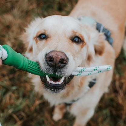 Green Sheep Tug & Enrichment Dog Toy, Interactive Rope Bone Toy with Removable Cotton Rope, Treat Dispensing Natural Rubber Dental Chew Toy for Medium and Large Dogs, Green