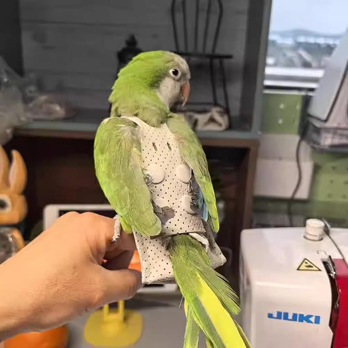 Premium Genuine Cowhide Bird Flight Harness Anti Bite Breathable Parrot Diaper Parrot Suit with Leash for Parakeet Conure Quaker Flying Clothes Rope and Handle (Without Leash,Small)