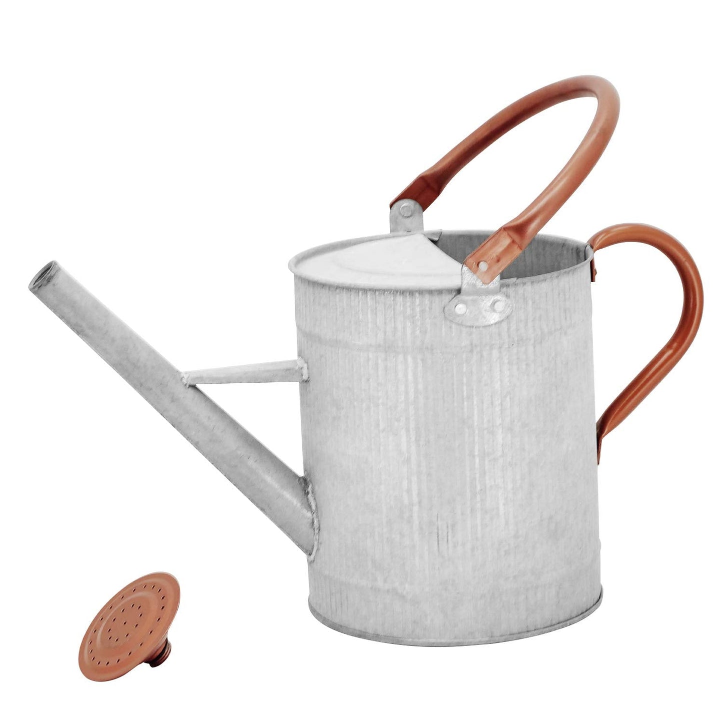 HORTICAN 1 Gallon Watering Can, Metal Watering Can with Removable Spout, Farmhouse Galvanzied Water Can, Nice Plant Water Can for Indoor Use and for Outdoor Use