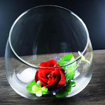Healeved 3pcs Slant Cut Glass Bottle Micro Landscape Succulent Vase Set, Ecological Desk Terrarium Decoration for Home and Office