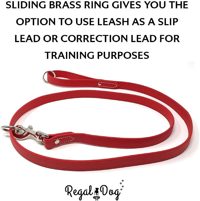 Regal Dog Products Large Red Waterproof Dog Collar and Leash Set | Heavy Duty Double Buckle & D Ring - 5'ft Leash | Adjustable Biothane Dog Collar | Chew Resistant Waterproof Collar for Dogs