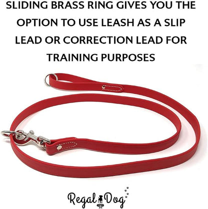 Regal Dog Products Medium Red Waterproof Dog Collar and Leash Set | Heavy Duty Double Buckle & D Ring - 5'ft Leash | Adjustable Biothane Dog Collar | Chew Resistant Waterproof Collar for Dogs