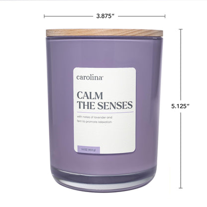 Carolina Calm The Senses Scented Candle, 16 oz Lavender & Fern Scented, 2 Wick Wellness Relaxing Candle, 60H Burn Time, Ideal for Creating a Welcoming Home - Made in The USA