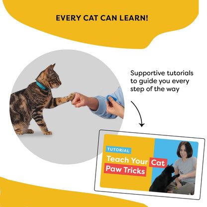 Cat Training Clicker with Detachable Wearable Finger Clicker & Target Stick – Positive Reinforcement Training Tool for Cats – Ideal for Behavior, Tricks & Enrichment