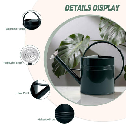 LONGRUN 2.5 Gallon Dark Green Metal Watering Can Primary Colors Nozzle for Plants and Garden with Removable Spout, Made of Galvanized Iron