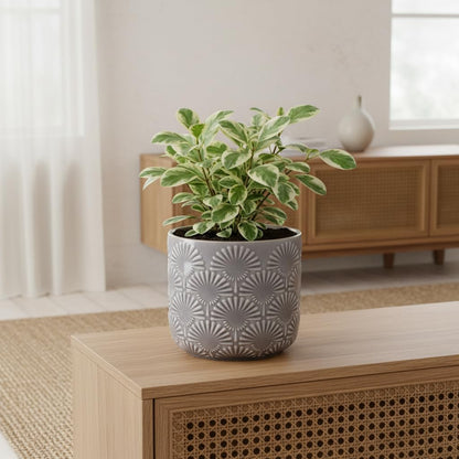 Xiaan Jiaju Modern Embossed Ceramic Pots for Plants, 6.7 Inch Nordic Plant Pots Indoor with Drainage, Contemporary Decorative Glazed Planter with Fanburst Texture, Warm Greige