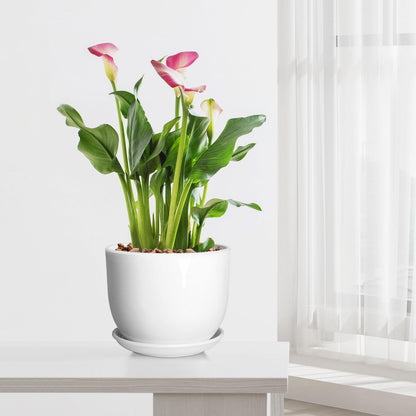 YUFDA 8 Inch Ceramic Planter, Plant Pots with Drainage Hole and Separable Saucer,Indoor-Outdoor Round Succulent Orchid Flower Pot,Indoor pots for Plants(Smooth White,Plant Pot only)