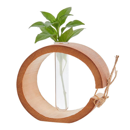 MAYJOYDIY Moon Plant Propagation Station, Plant Terrarium with Wooden Stand, Glass Tubes Plants Pots for Hydroponics for Women Mom Plants Lovers Gardening Gifts, Full Moon