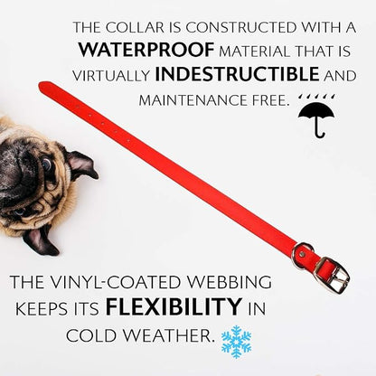 Regal Dog Products Large Red Waterproof Dog Collar and Leash Set | Heavy Duty Double Buckle & D Ring - 5'ft Leash | Adjustable Biothane Dog Collar | Chew Resistant Waterproof Collar for Dogs