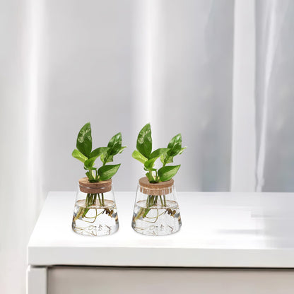 DECORNIJIA 3pcs Glass Hydroponic Plant Propagation Vases with Smooth, Hammered Vertical Textured Volcanic Cork Stoppers for Desktop Terrarium and Indoor Plant Decoration