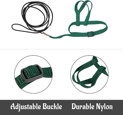 2 pcs Pet Parrot Bird Harness and Leash, Adjustable Training Design Anti-Bite, Outdoor Flying Training Rope Kit for Bird Parrots Fits Birds Chest Between46-76cm /18.11-29.92inch - XL (Green)