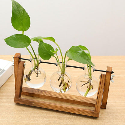 Cabilock Glass Hydroponic Vase Planter with Wooden Stand, Desktop Decorative Green Plant Container for Home and Office Flower Arrangement