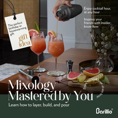 Barillio Black Mixology Bartender Kit - 8 pcs Stainless Steel Travel Cocktail Shaker Set with Bag - Bar Tools Set & Martini Shaker, Drink Mixer Spoon & Mojito Muddler for Cocktails, Pourers & Jigger