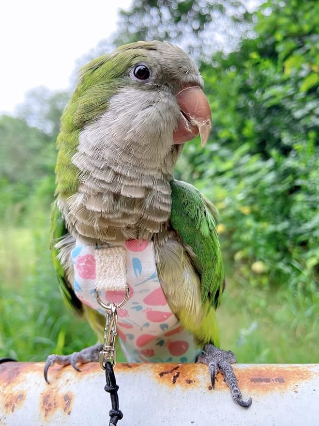 Bird Diaper Harness Flight Suit Clothes, Parrot Flight Suit with Leash, Bird Flying Clothes with Rope and Handle for Outdoor Activities Training (Pink with Leash,Large)
