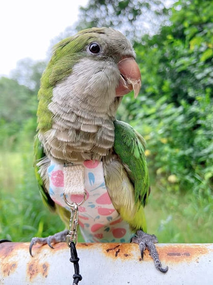 Bird Diaper Harness Flight Suit Clothes, Parrot Flight Suit with Leash, Bird Flying Clothes with Rope and Handle for Outdoor Activities Training (Pink with Leash,Large)
