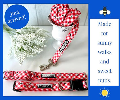Lucky Love Dog - Adjustable Dog Collar with Easy Click Buckle for Small Dogs, Durable, & Comfortable for Male & Female Dogs, Pet Collar for Puppies & Adult Dogs - Bailey, Small