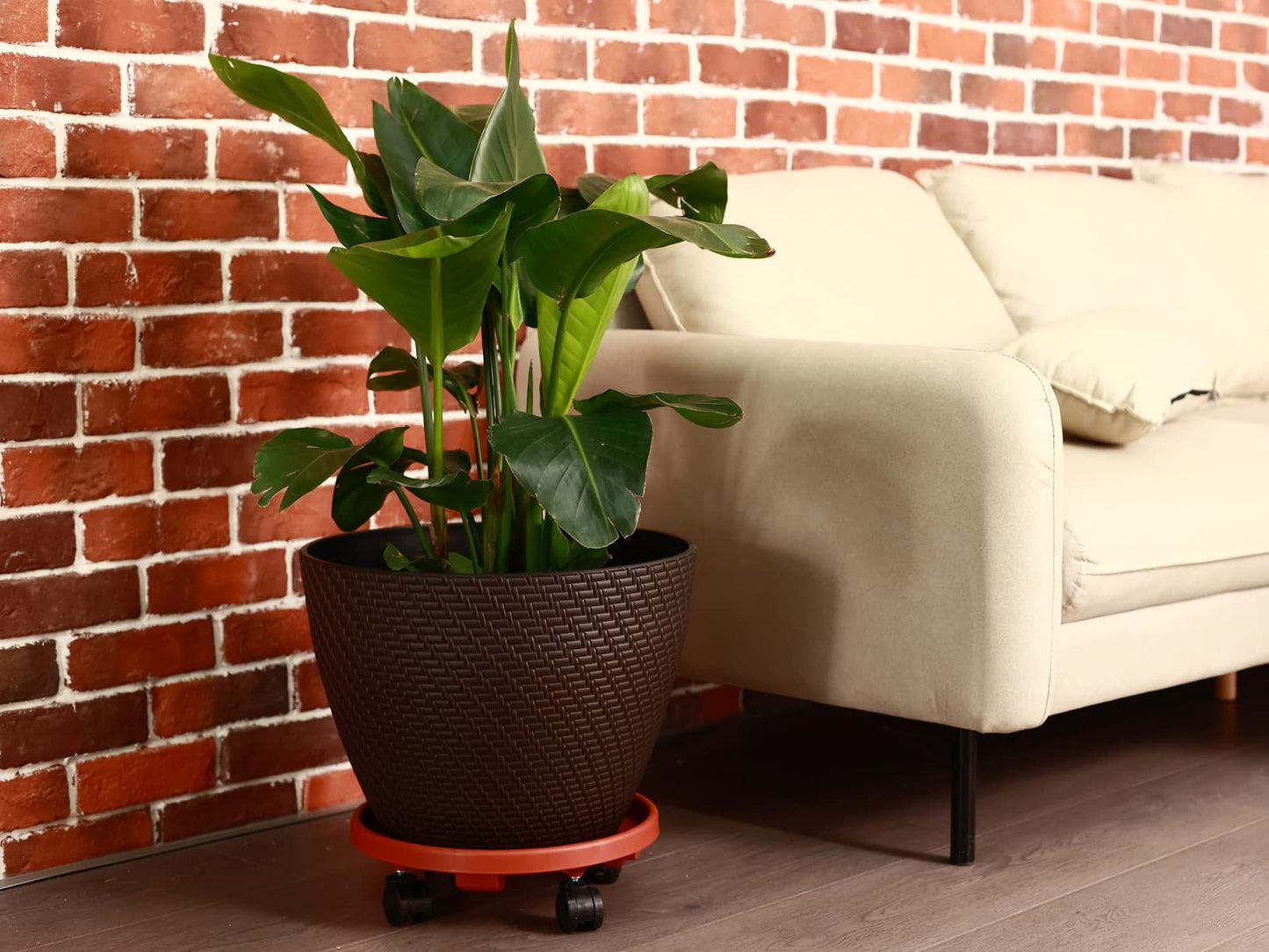 3 Packs Large Plant Caddy with Wheels 13" Rolling Plant Stands Heavy-duty Plastic Plant Roller Base Pot Movers Plant Saucer on Wheels Indoor Outdoor Plant Dolly with Casters Planter Tray Coaster
