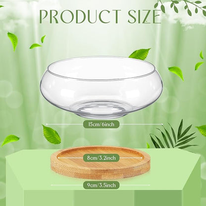 Baderke 8 Sets Glass Planter Bowls for Flowers with Tray 6'' Round Glass Vase Bowl Hydroponic Lotus Planter Pot Propagation Vases Fish Bowl for Plants Indoor Windowsill Kitchen Desktop Wedding Decor