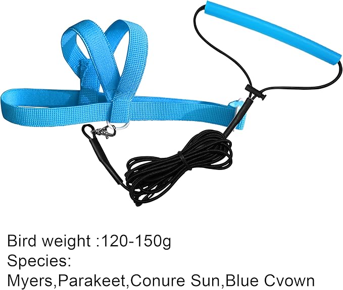 Pet Parrot Bird Harness Leash Adjustable Bird Flying Harness Traction Rope with Cute Wing for Parrots Pigeons Budgerigar Lovebird Cockatiel Mynah Outdoor Training Toy (Blue,M)