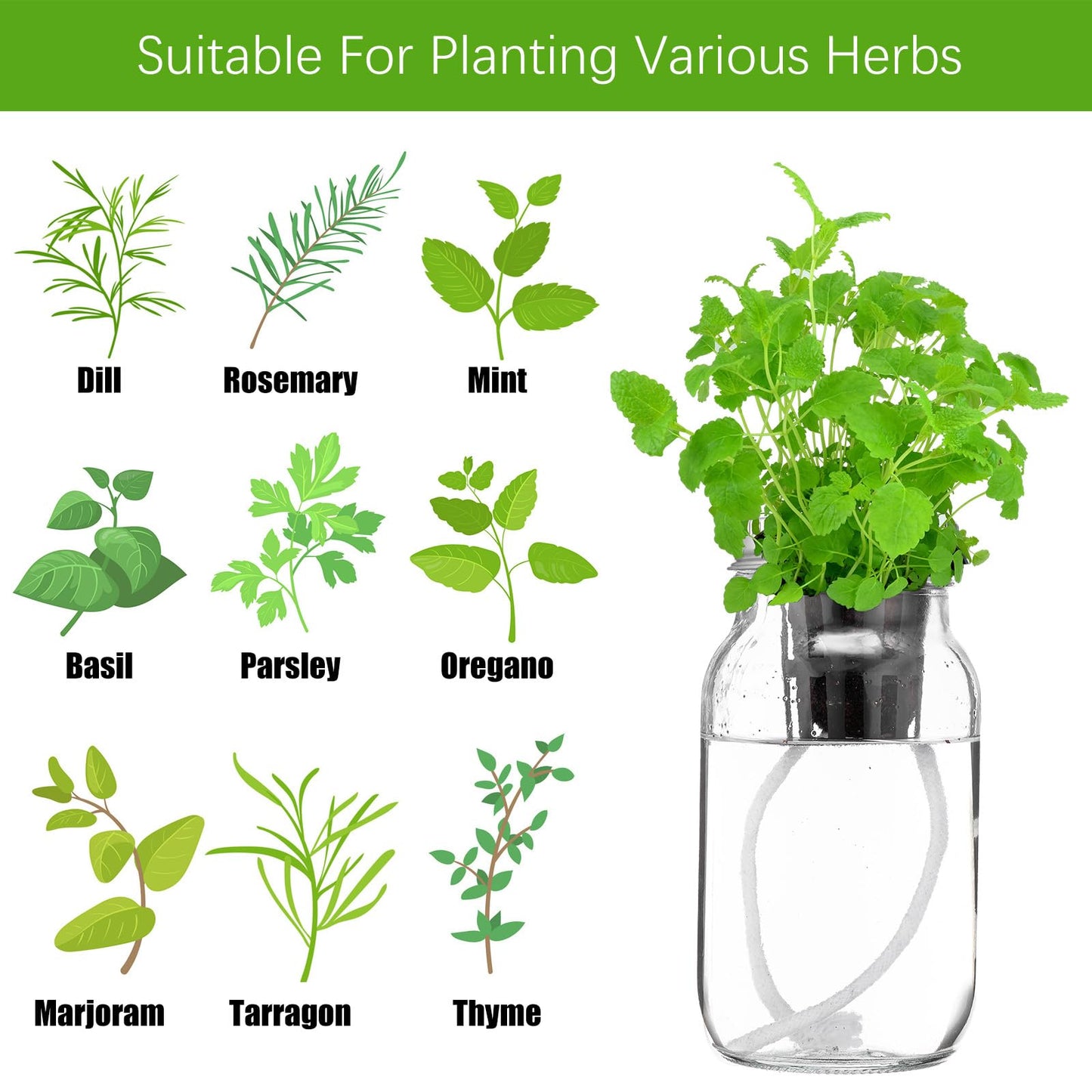 Teenyyou 6 Set Hydroponic Mason Garden Jar Kit Self Watering Herb Hydroponic Planter Starter Kit with Net Pot Garden Flower Plant Growing Gift for Indoor Herbs Windowsill Gardening