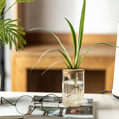 Glass Plant Propagation Stations for Plants – Set of 4(2 Large & 2 Small) Hydroponic Vases for Plant Cuttings,Flower Arrangements, Home & Office Decor–Desktop Vases for Living Room, Bedroom (4)