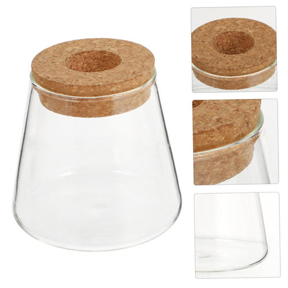 OUNONA 2Pcs Desktop Glass Hydroponic Chic Transparent Vases for Home Decor Stylish Terrarium for Indoor Plants for Office Garden Aesthetics