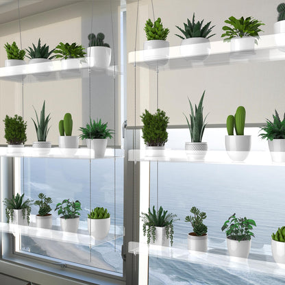 ZerzSemp 3-Tier Hanging Clear Plant Shelves for Windows, Acrylic Window Wall Plant Stand Shelf for Kitchen Indoor Gardens, Flower, Herb, Seedling Organization, and Pots Display, 16 Inch per Tier