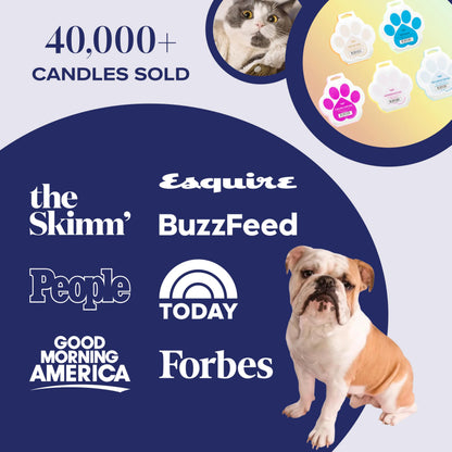 Companion Candles Nostalgia Pet-Friendly Wax Melt – Spicy Amber & Sweet Floral Fragrance - Coconut Soy Wax, Long-Lasting Scent, Made in USA, 3 oz