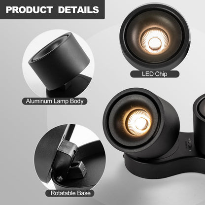 HITOO Ceiling spot Lights Indoor, Ceiling Accent Lights 3000-6000K Selectable, 20W Dual Head LED Spot Lights, CRI 98, 220° Directional, Black Ceiling Spotlight for Kitchen, Plant, Living Room
