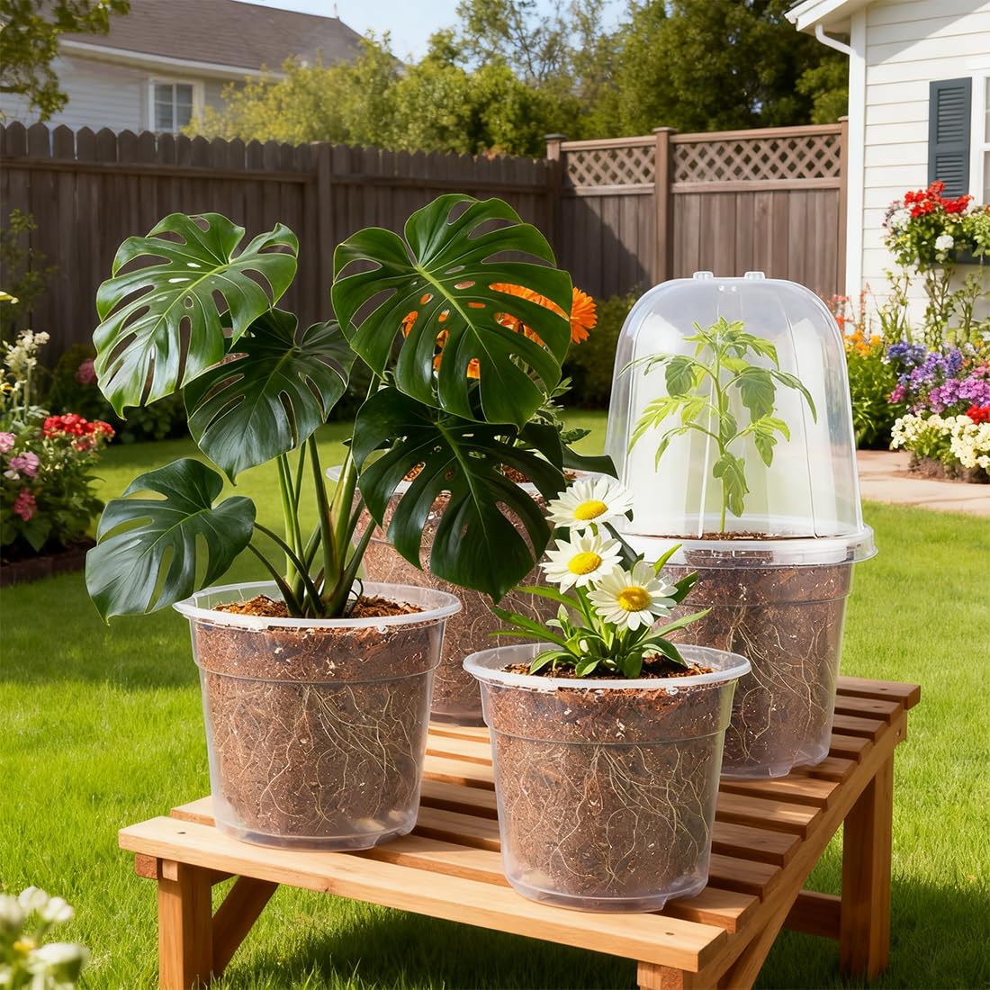 RooTrimmer 6 Inch Clear Nursery Pots with Humidity Dome, 30 Pack Reusable Seed Starter Pot with Drainage Holes, Transparent Plastic Plant Seedling Pots for Propagation Indoor Plants Outdoor Gardening