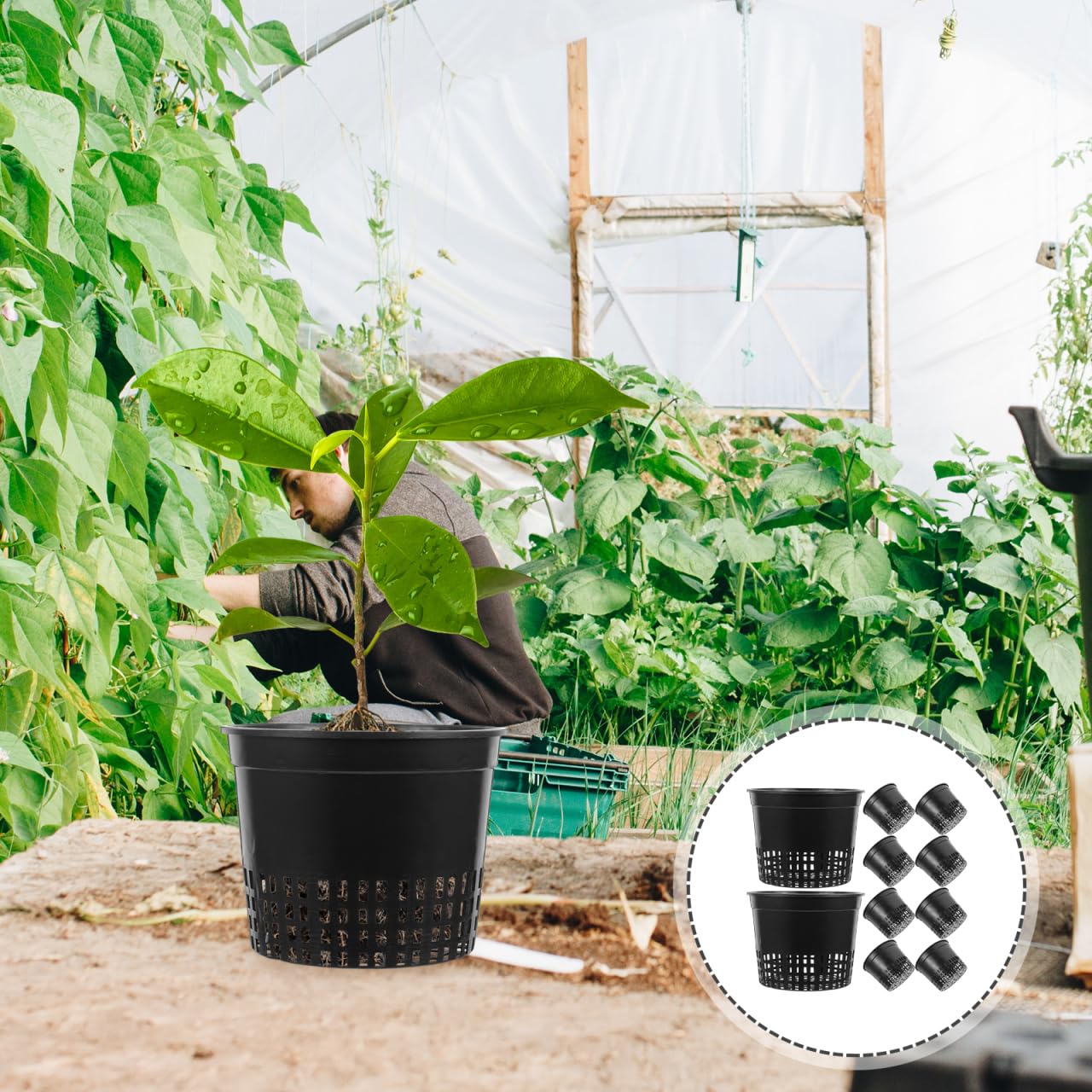 DOITOOL 5 Inch Hydroponic Mesh Basket, 10pack Hydroponic Net Pots, Slotted Mesh Net Cups, Self Watering Baskets Pots for Aquaponics Orchids Indoor Outdoor Growing Plants (Black)
