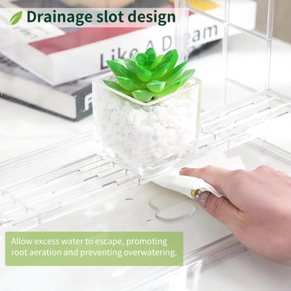 PEEKUP Clear Mini Greenhouse Indoor, Small Portable Tabletop Green House with Magnetic Door for Seed Starting, Plant Grow Warmer and Home Gardening Display