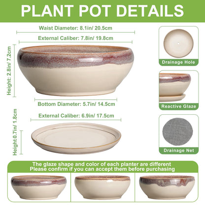 SQOWL Succulent Pots 8 Inch - Ceramic Bonsai Pots for Indoor Plants, Round Shallow Plant Pot with Drainage Hole and Saucer, Bowl Planter Outdoor, Patio Decor, Plant Lover Gifts, Beige